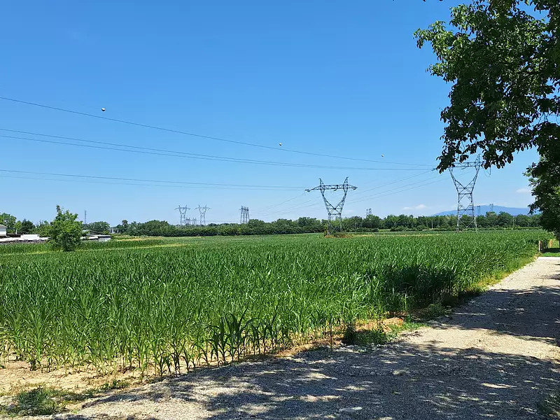 Maison neuve, 130 m² - Bartenheim (68870)