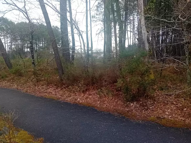 Terrain à bâtir, 710 m² - La Teste-de-Buch (33260)