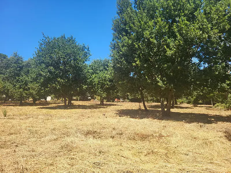 Maison neuve, 95 m² - Montignargues (30190)