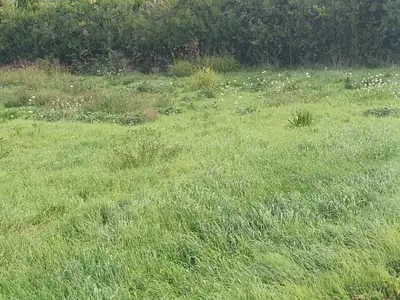 Terrain à bâtir, 191 m²