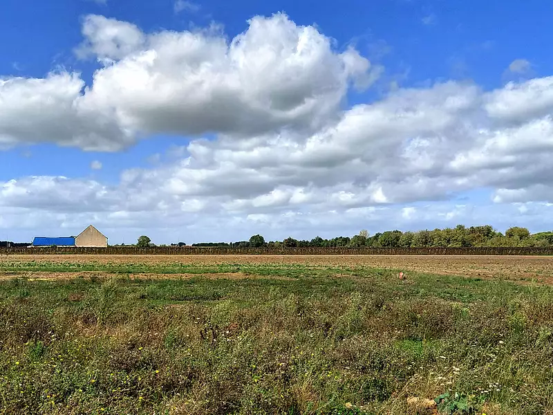 Maison neuve, 77 m² - Beaumont-Louestault (37360)