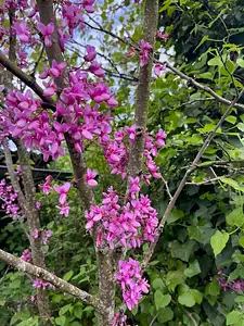 Maison neuve, 73 m²