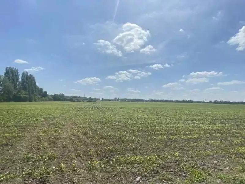 Terrain à bâtir, 525 m² - Wahagnies (59261)