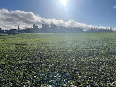 Maison neuve, 113 m²