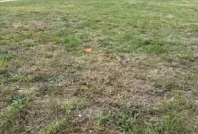 Maison neuve, 92 m²