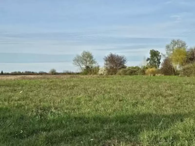 Terrain à bâtir, 305 m² - Druye (37190)