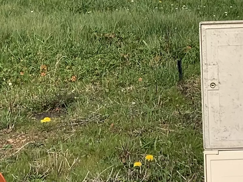 Terrain à bâtir, 400 m² - Chaumes-en-Retz (44320)