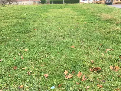 Terrain à bâtir, 2 950 m²