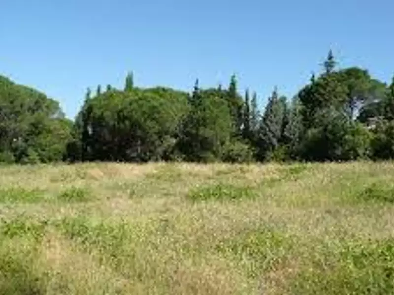 Terrain à bâtir, 577 m² - Montlouis-sur-Loire (37270)