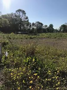 Maison neuve, 91 m²