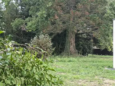 Terrain à bâtir, 814 m²