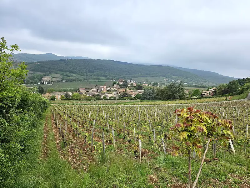 Maison neuve, 180 m² - Leynes (71570)
