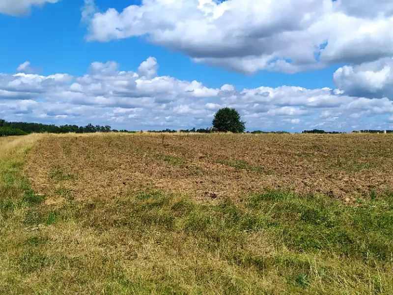 Maison neuve, 100 m² - La Réole (33190)