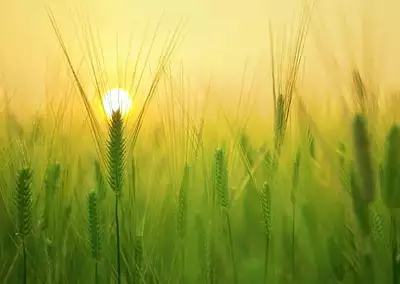 Maison neuve, 85 m²