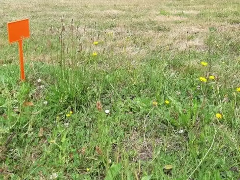 Terrain à bâtir, 445 m² - Nieul-le-Dolent (85430)