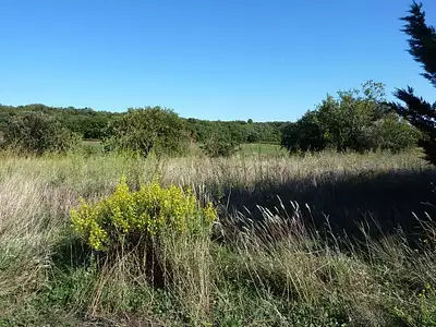 Maison neuve, 73 m²