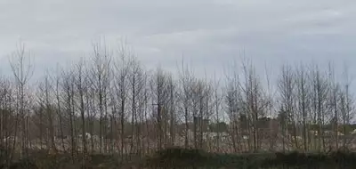 Terrain à bâtir, 500 m²