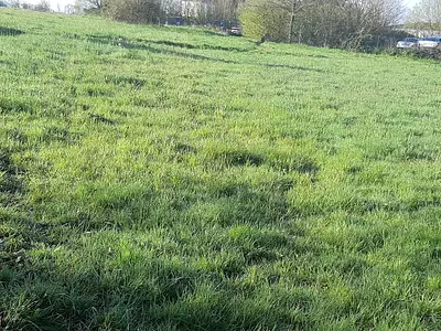 Terrain à bâtir, 1 640 m²