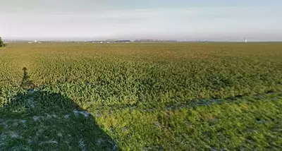 Terrain à bâtir, 494 m²