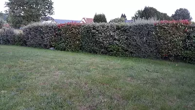 Terrain à bâtir, 507 m²