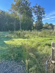 Maison neuve, 50 m²