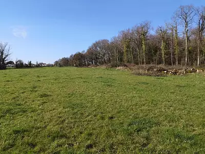 Maison neuve, 85 m²