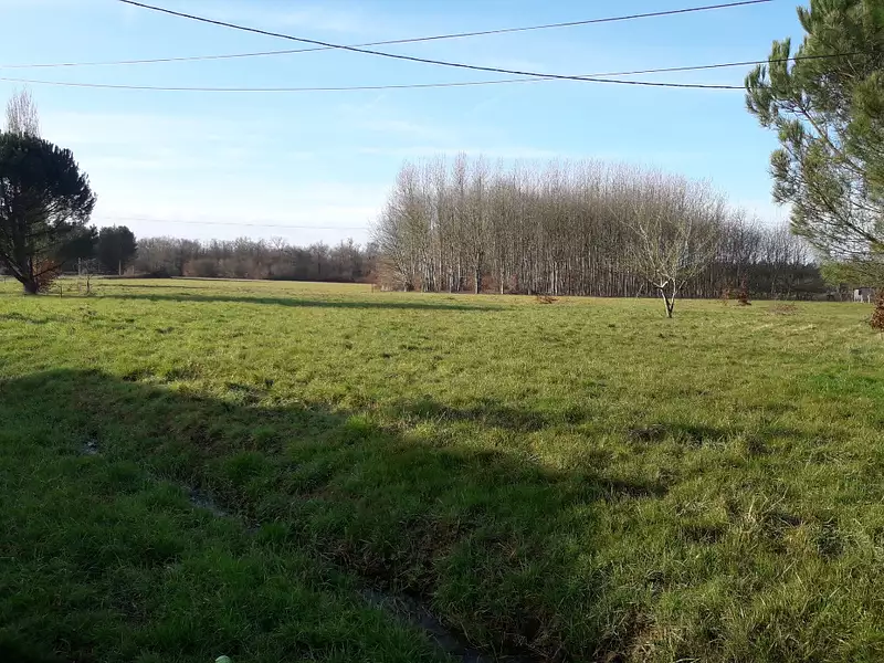Maison neuve, 132 m² - Parcoul-Chenaud (24410)