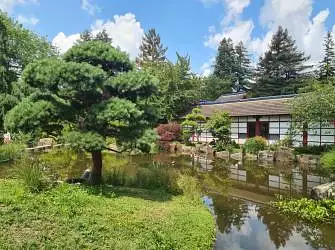 Rêves de l'Erdre
