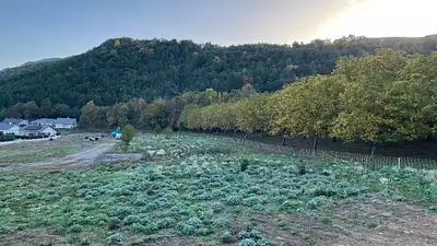Terrain à bâtir, 768 m²