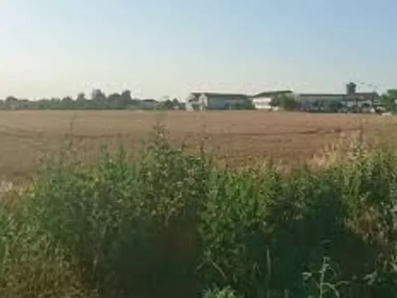 Terrain à bâtir, 845 m² - Bâgé-Dommartin (01380)