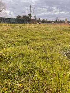 Terrain à bâtir, 331 m²