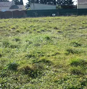 Maison neuve, 82 m²