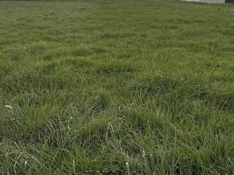 Terrain à bâtir, 623 m² - Génelard (71420)