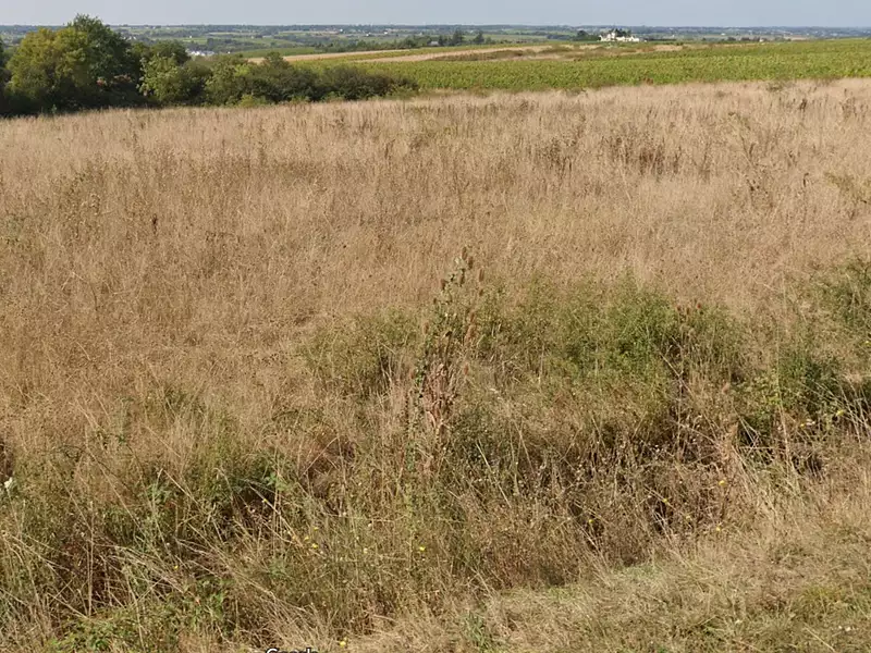 Terrain à bâtir, 648 m² - Yzernay (49360)