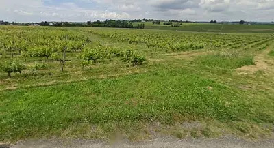 Terrain à bâtir, 850 m²