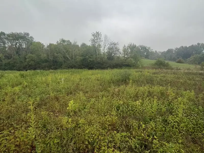 Terrain à bâtir, 1 070 m² - Saint-Ondras (38490)