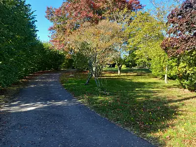 Terrain à bâtir, 1 230 m²