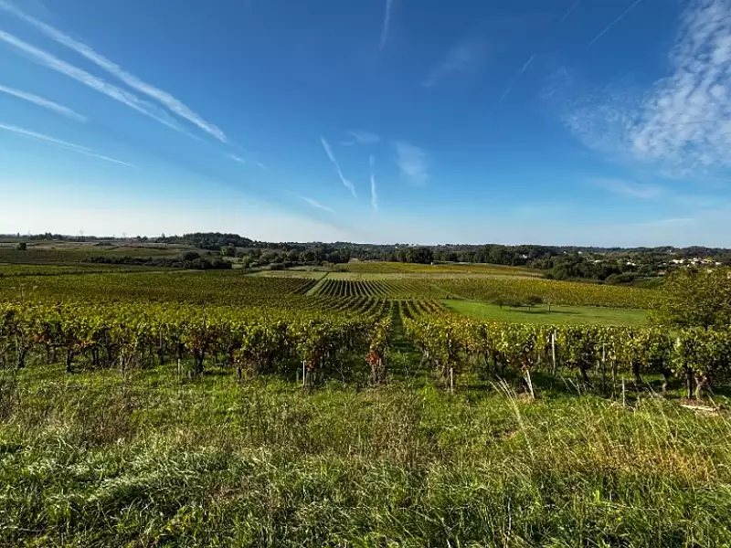 Terrain à bâtir, 800 m² - Camblanes-et-Meynac (33360)