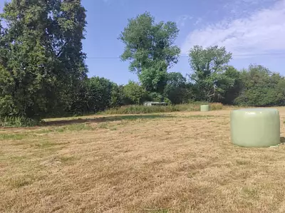 Terrain à bâtir, 1 376 m²