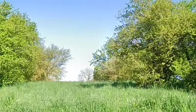 Maison neuve, 110 m²