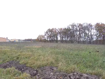 Maison neuve, 75 m²