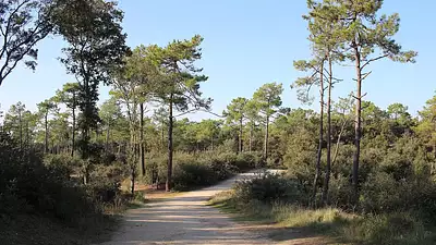 Terrain à bâtir, 308 m²