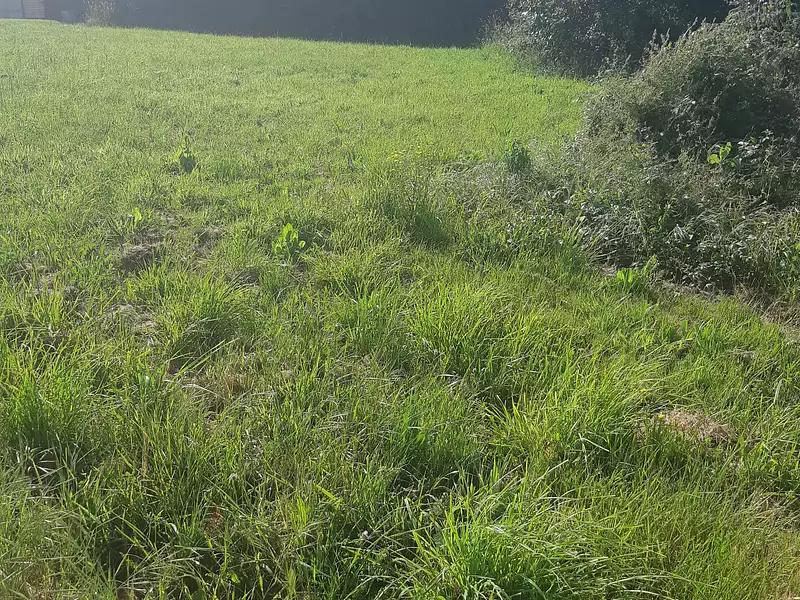 Terrain à bâtir, 1 400 m² - Sainte-Reine-de-Bretagne (44160)