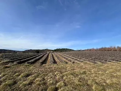 Terrain à bâtir, 613 m²