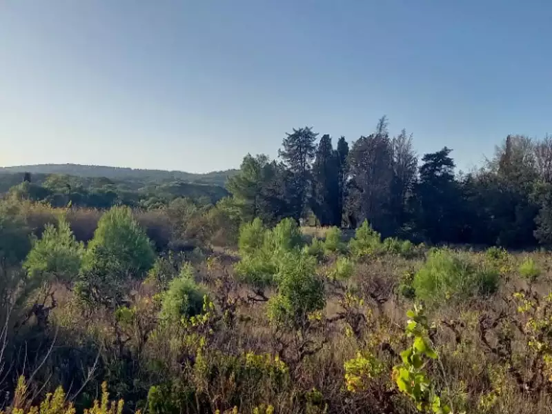 Terrain à bâtir, 721 m² - Argens-Minervois (11200)