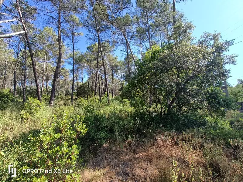 Terrain à bâtir, 1 201 m² - Bagnols-en-Forêt (83600)