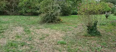 Maison neuve, 100 m²