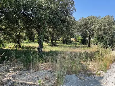 Terrain à bâtir, 1 700 m²