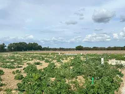 Maison neuve, 85 m²