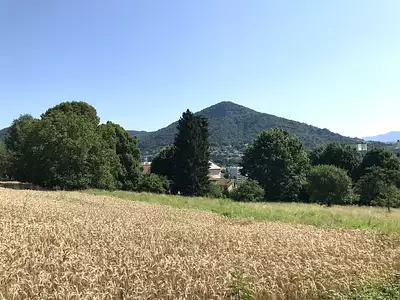 Le Domaine d'Anthyllis